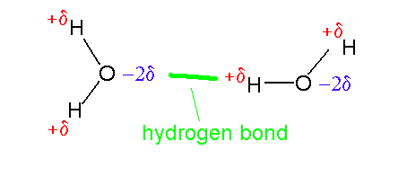diagram of water molecule with hydrogen bonding